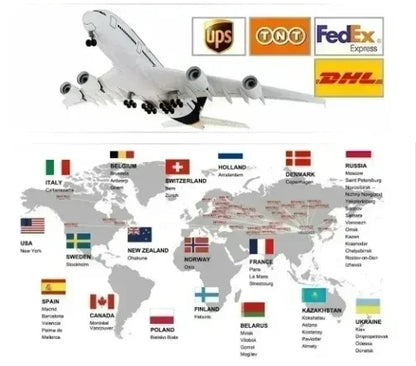 Wide-Leg Casual Pants